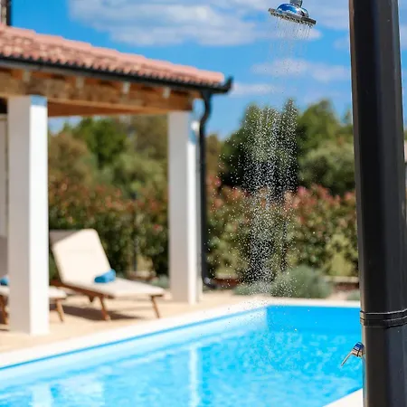 Papa's Court Iv With Pool Villa Pašman